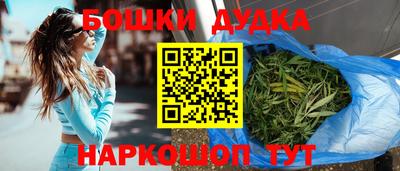 крисы Лесосибирск