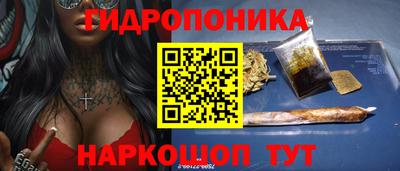 крисы Лесосибирск