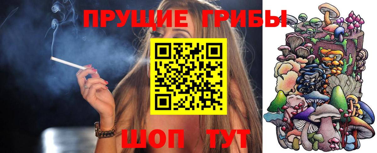 Чебоксары  Галлюциногенные грибы ЛСД  Вход с VPN 